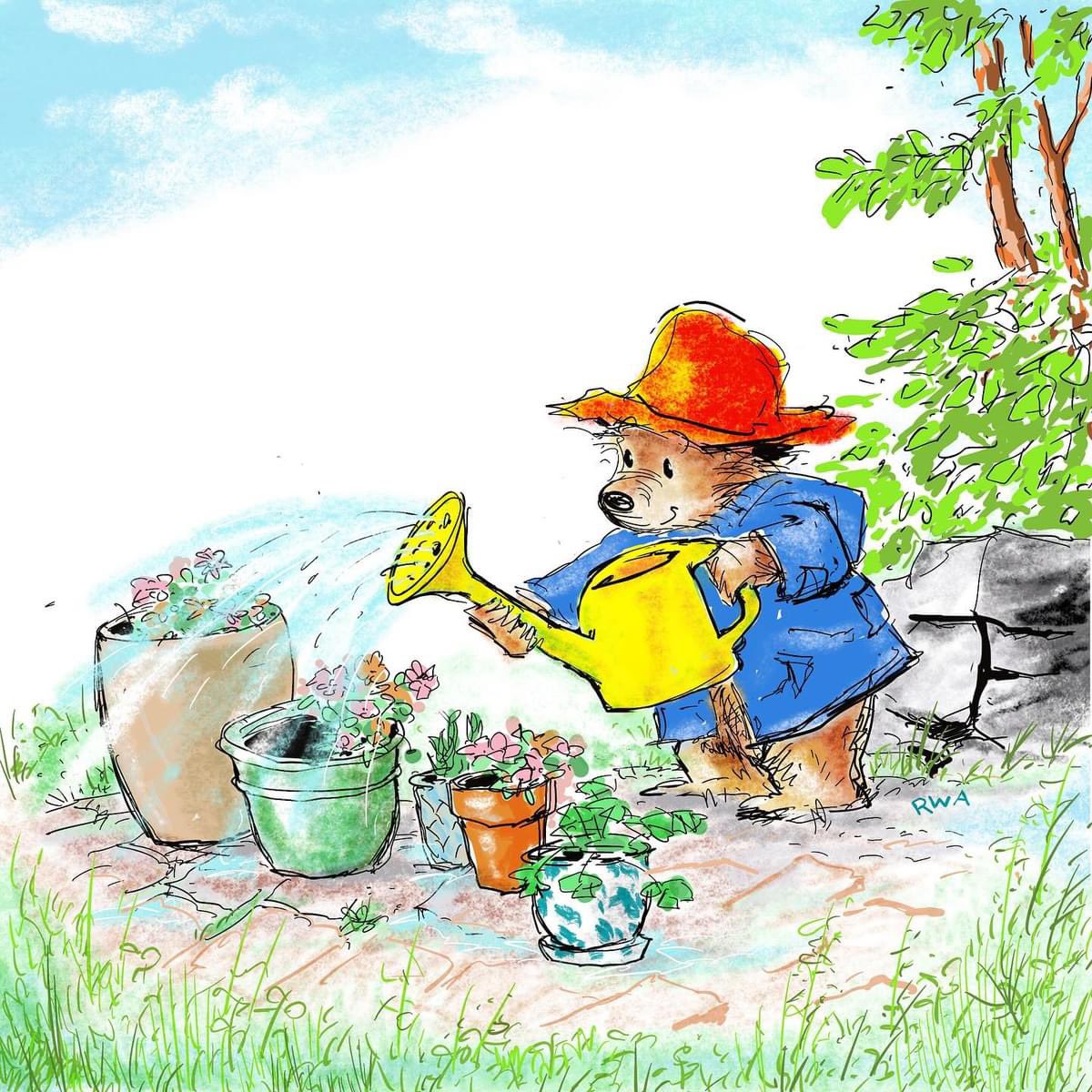 Repost from Bob Alley. 📚🧸.   Paddington’s planted the pots. Now it’s a question of keeping up with the watering. And, there’s a lot of watering, since “Paddington’s Garden”has found a home on the lists of many kind publishers throughout the world.