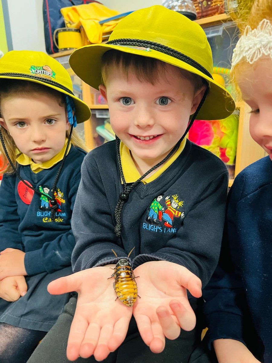 𝗠𝗔𝗥𝗩𝗘𝗟𝗟𝗢𝗨𝗦 𝗠𝗜𝗡𝗜𝗕𝗘𝗔𝗦𝗧𝗦!
I recently visited this amazing Nursery School to deliver our curriculum-based topics of 'the world around us' &amp; 'Marvellous Minibeasts'!