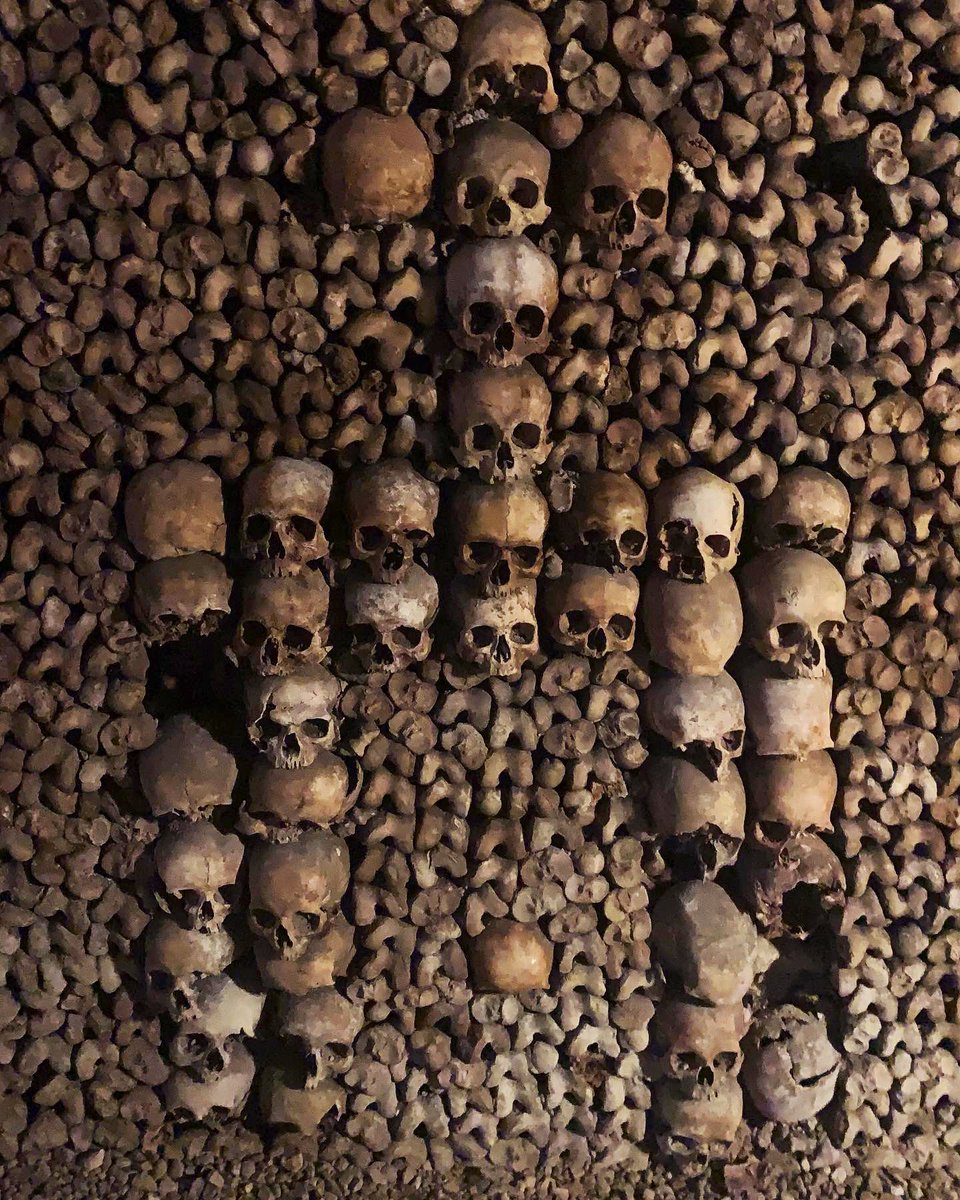 CharlieStear's tweet photo. Paris catacombs https://t.co/dVqNl8tKCG