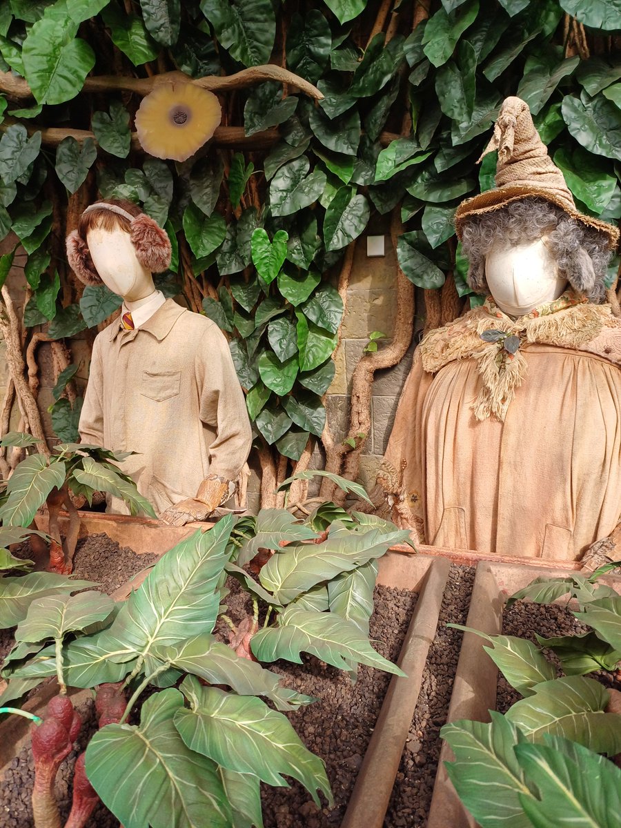 Sedbergh Art tweet media