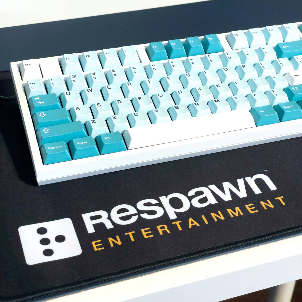 Melissa Shim tweet media