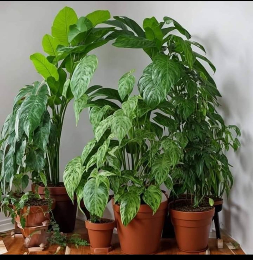 Brian Parker tweet media