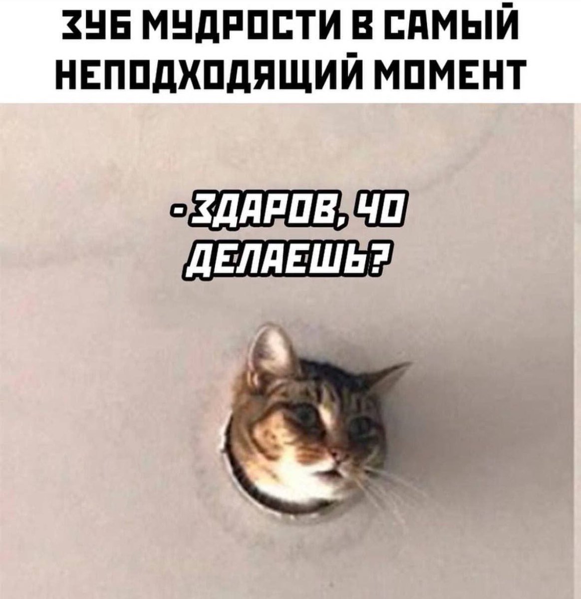 BugAndRow's tweet image. When I wanted to go on vacation:
#vacation