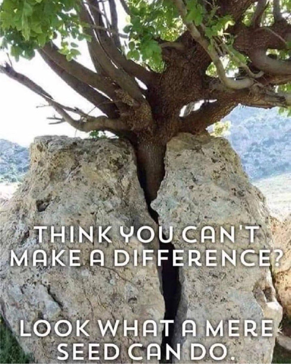 gary_hensel's tweet photo. #MondayMotivation #SuccessTrain #IAM #BelieveInYourself https://t.co/3OPdXQbQmh