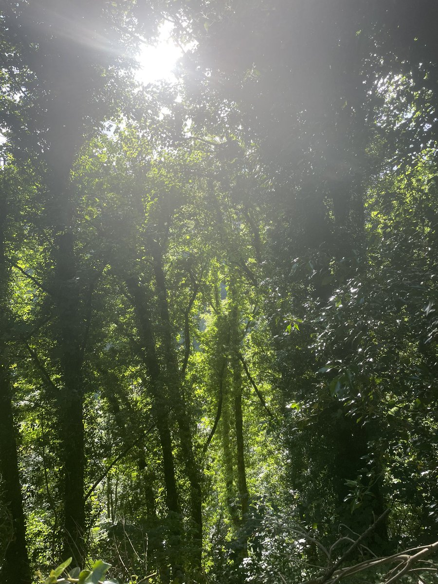 Voices of the Future researcher diary (@kate_pahl) on Twitter photo Looking forward to presenting at the <a href="/UK_Treescapes/">UKTreescapes</a> conference in Glasgow on ‘Exploring children and young people’s ways of knowing: what is a child-led typology of trees’ with <a href="/KhawlaBadwan/">Dr Khawla Badwan</a> <a href="/samyia_ambreen/">Samyia Ambreen</a> <a href="/doctaspes/">Prof Johan Siebers</a> Simon Carr, Jo Vergunst and Liz Curtis from <a href="/CYPTreescapes/">Voices of the Future: Child & Youth Treescapes</a> Looking forward to presenting at the <a href="/UK_Treescapes/">UKTreescapes</a> conference in Glasgow on ‘Exploring children and young people’s ways of knowing: what is a child-led typology of trees’ with <a href="/KhawlaBadwan/">Dr Khawla Badwan</a> <a href="/samyia_ambreen/">Samyia Ambreen</a> <a href="/doctaspes/">Prof Johan Siebers</a> Simon Carr, Jo Vergunst and Liz Curtis from <a href="/CYPTreescapes/">Voices of the Future: Child & Youth Treescapes</a>