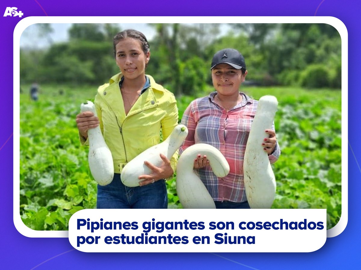 Adelante Siempre tweet media