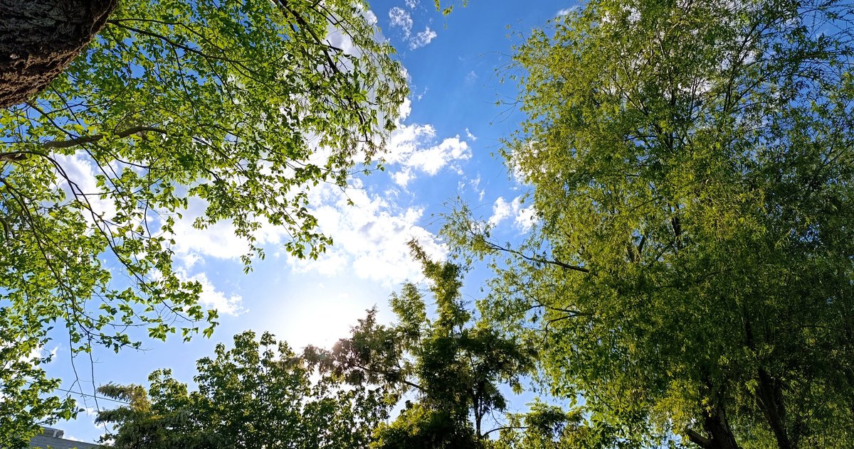 نَفَس دُخت tweet media