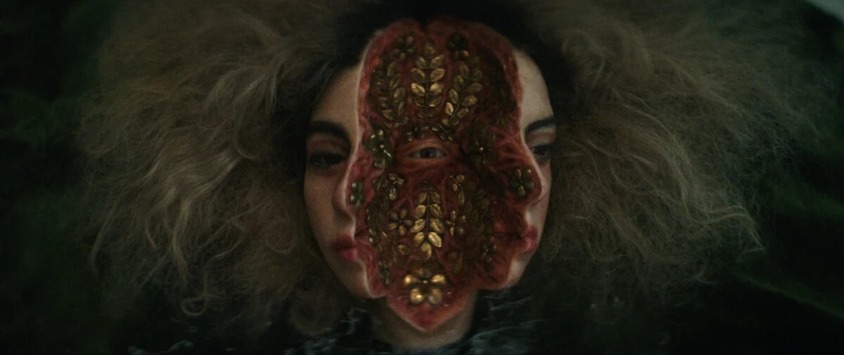 Geek Vibes Nation tweet media