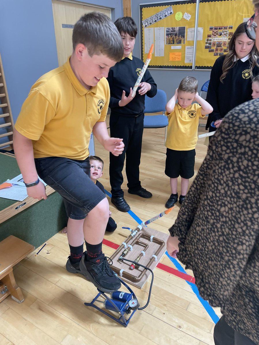 MPS Stem tweet media