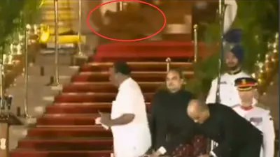 NewsAlgebraIND's tweet image. SH0CKING NEWS 🚨 Mysterious animal resembling big leopard seen in video during oath-taking ceremony.

Animal was also moving in background on stairs from where President Draupadi Murmu came to adminster oath.

BJP MP Durga Das was taking oath that time.

Forest Department said…