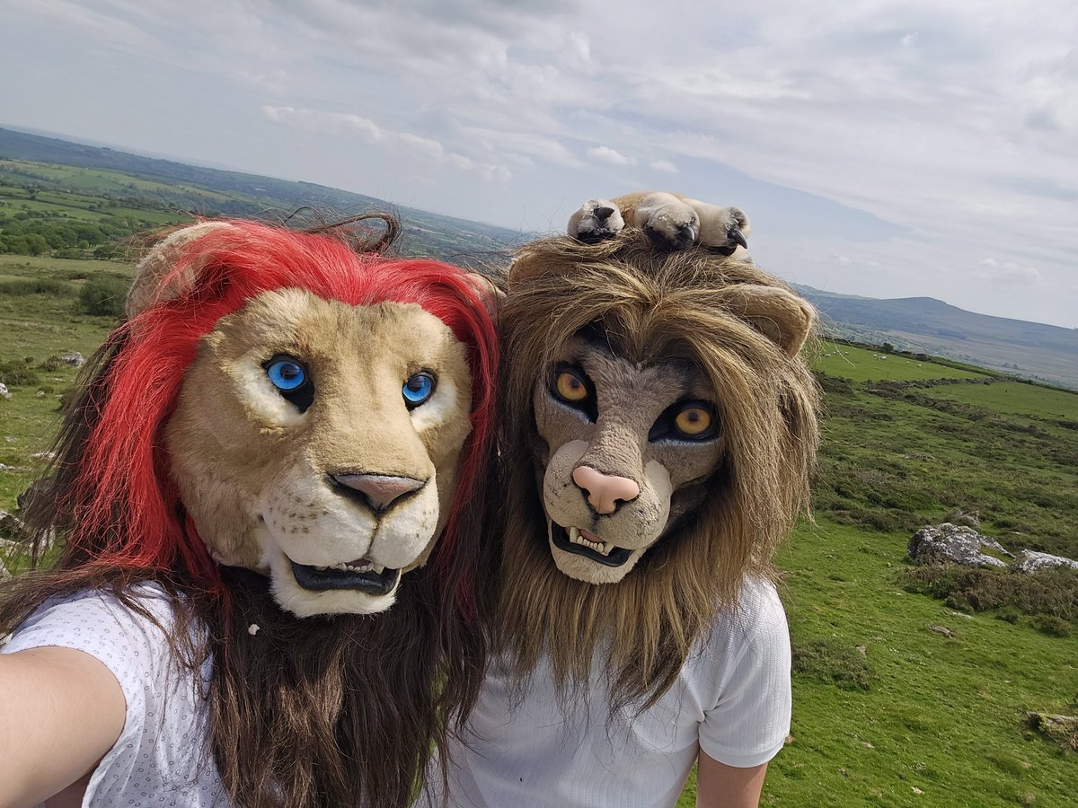 dydi92's tweet photo. Just enjoying a sunny day out in the countryside for these 2 kitties. https://t.co/SUGk2NUlDe