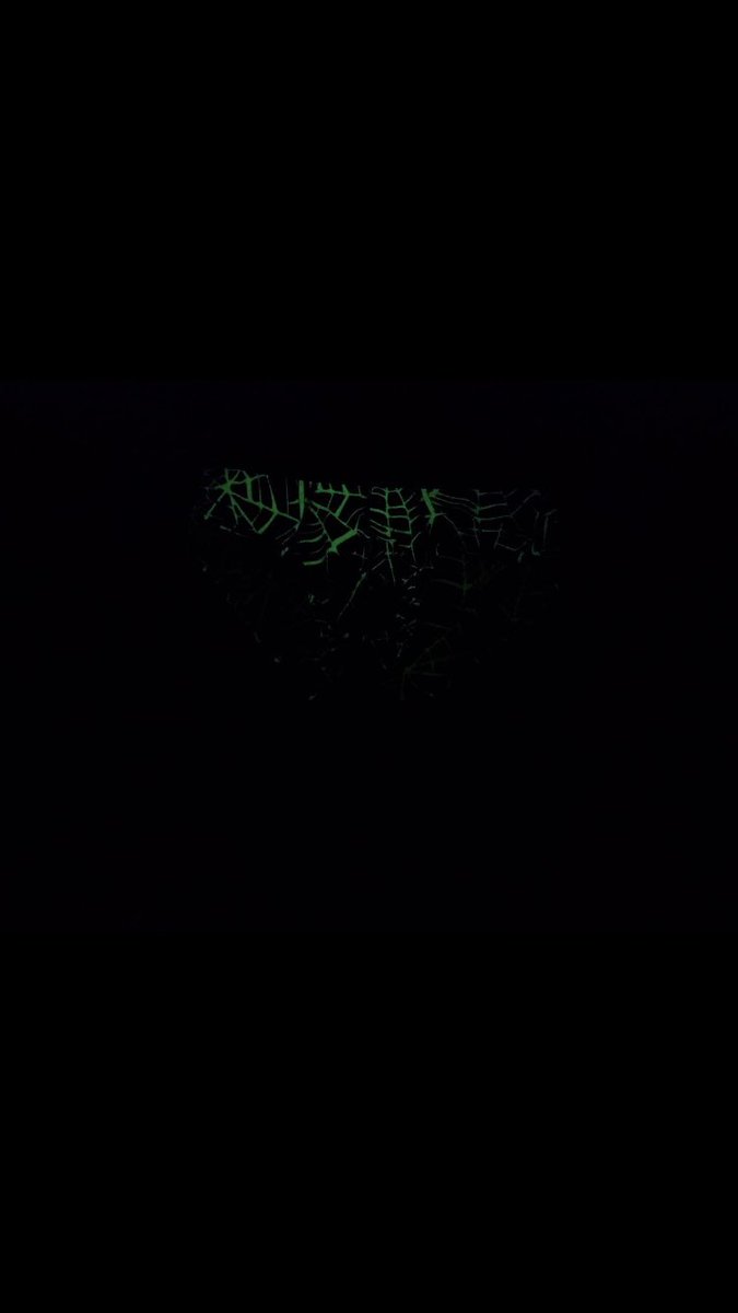 Wanted to see how bright my glow in the dark briefs from <a href="/Meundies/">MeUndies</a> would glow after being charged all day in front of my bedroom lights and it did not disappoint (though the camera doesn’t really do it justice)