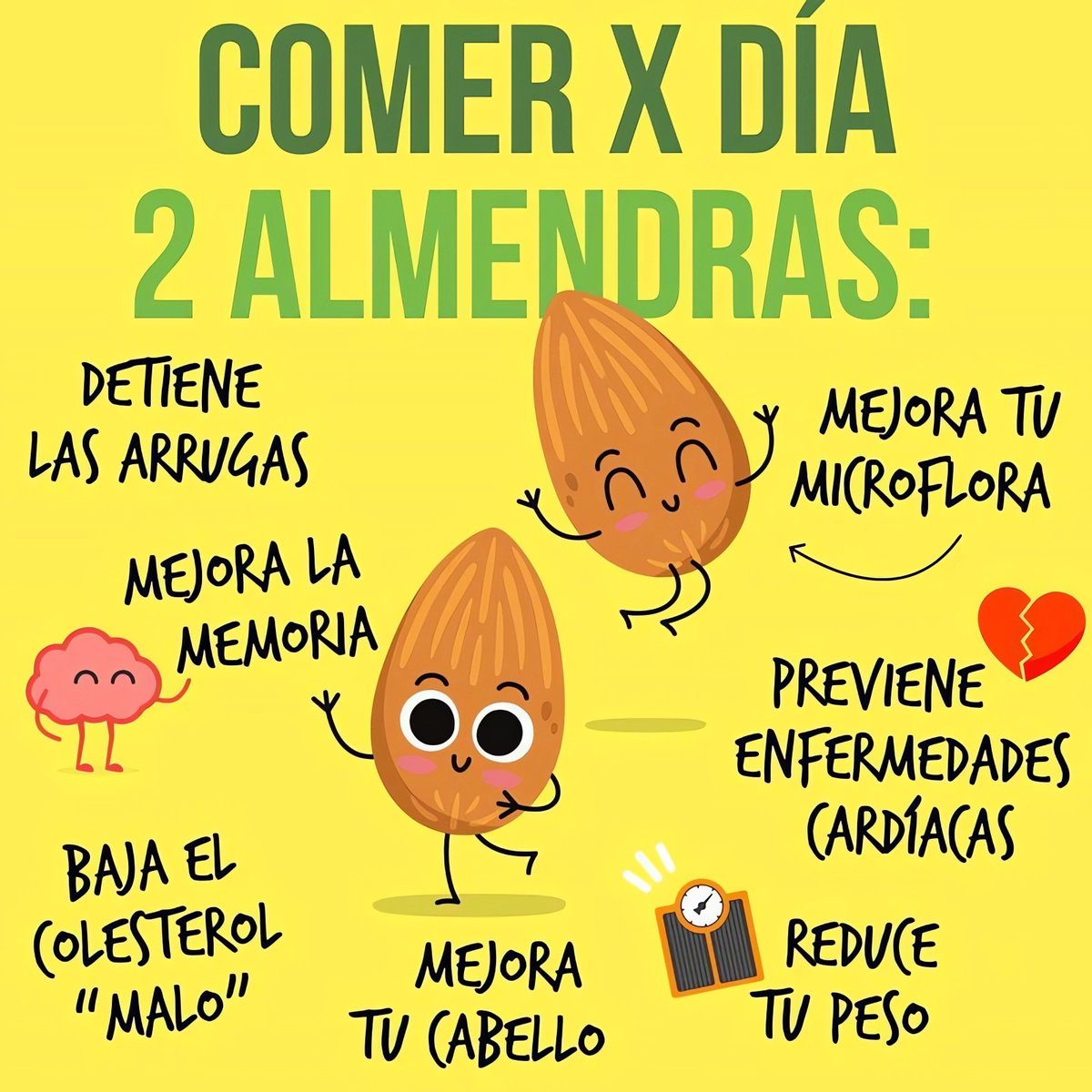 Bio_comunidad's tweet photo. 1. Detiene las arrugas: Las almendras son ricas en antioxidantes y vitamina E, que ayudan a mantener la piel saludable y pueden reducir la apariencia de las arrugas.

2. Mejora la memoria: Contienen riboflavina y L-carnitina, nutrientes que pueden ayudar a mejorar la función cerebral y la memoria.

3. Baja el colesterol “malo”: Las almendras son ricas en grasas monoinsaturadas que pueden ayudar a reducir los niveles de colesterol LDL, conocido como colesterol "malo".

4. Mejora tu cabello: Los nutrientes presentes en las almendras, como la vitamina E y los ácidos grasos, contribuyen a mantener el cabello fuerte y saludable.

5. Mejora tu microflora: Las fibras prebióticas en las almendras promueven el crecimiento de bacterias beneficiosas en el intestino, mejorando la salud digestiva.

6. Previene enfermedades cardíacas: Los antioxidantes, grasas saludables y minerales como el magnesio en las almendras ayudan a mantener el corazón saludable y reducir el riesgo de enfermedades cardíacas.

7. Reduce tu peso: Las almendras son una fuente rica en proteínas y fibras, lo que ayuda a sentirse lleno por más tiempo y puede contribuir a la pérdida de peso.