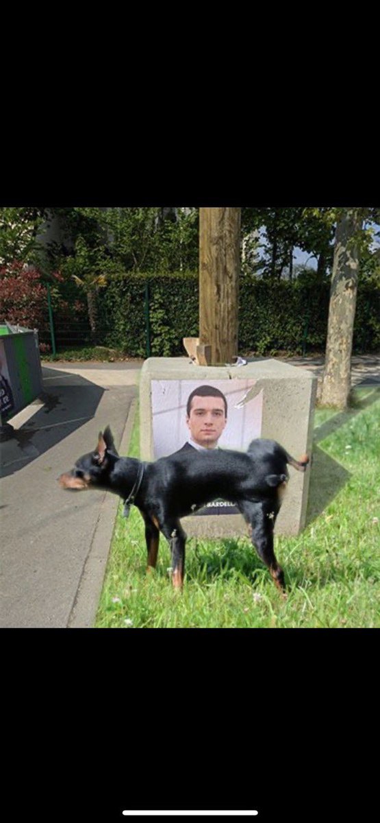 L’heure n’est pas à la musique mais à la résistance. Allez tous vous faire mettre, vous et votre gars 

On sera dans la rue autant de temps qui le faudra, unissons nous  

NIQUE UN FACHO, 
Nous sommes en guerre.