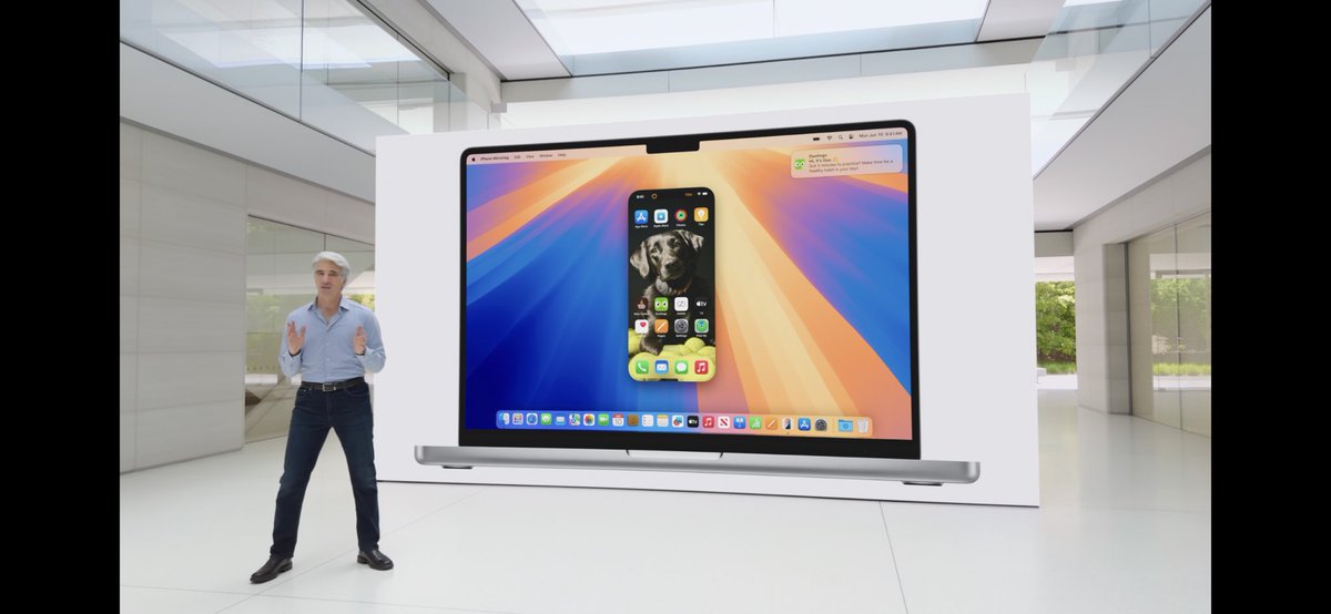 Sven Stein tweet media