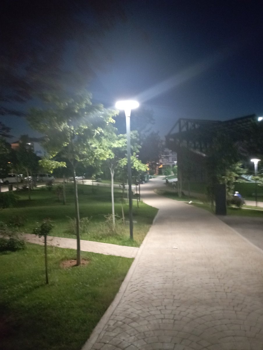 Yalnızlığım ve ben