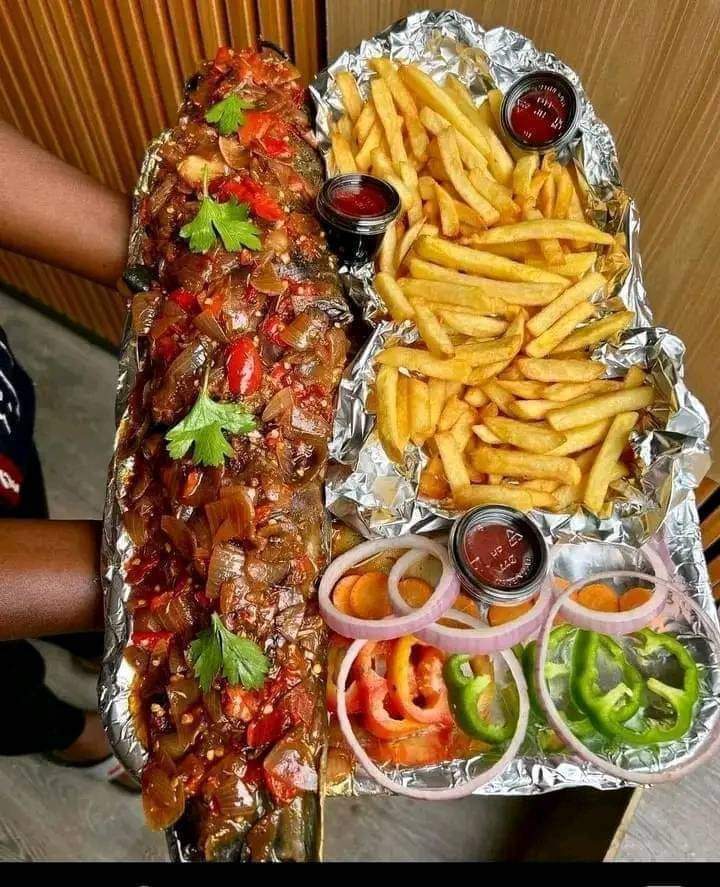 KhadijaGarba19's tweet photo. Hope your Monday wasn't too dreadful? 🙃
#fishislife https://t.co/p57gL9vFon