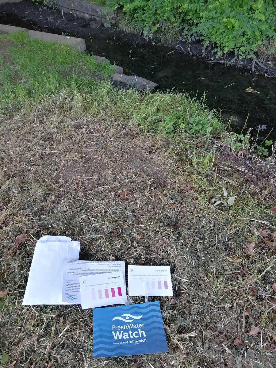 We're testing local #waterquality in  #FlorencePark, #Oxford.

Thanks <a href="/FreshWaterWatch/">FreshWater Watch</a> <a href="/Earthwatch_Eur/">Earthwatch Europe</a> for running this programme - looking guard to seeing how our results fit into the bigger picture!

#CitizenScience