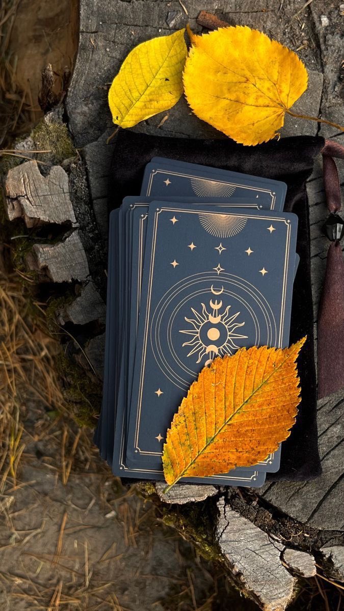 Tarotmelsi tweet media