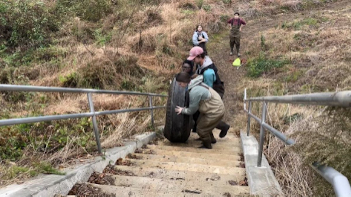 Isabella Bevans: Embracing the Muck - Learning About Wetland Conservation Through Experience ecs.page.link/anNDk