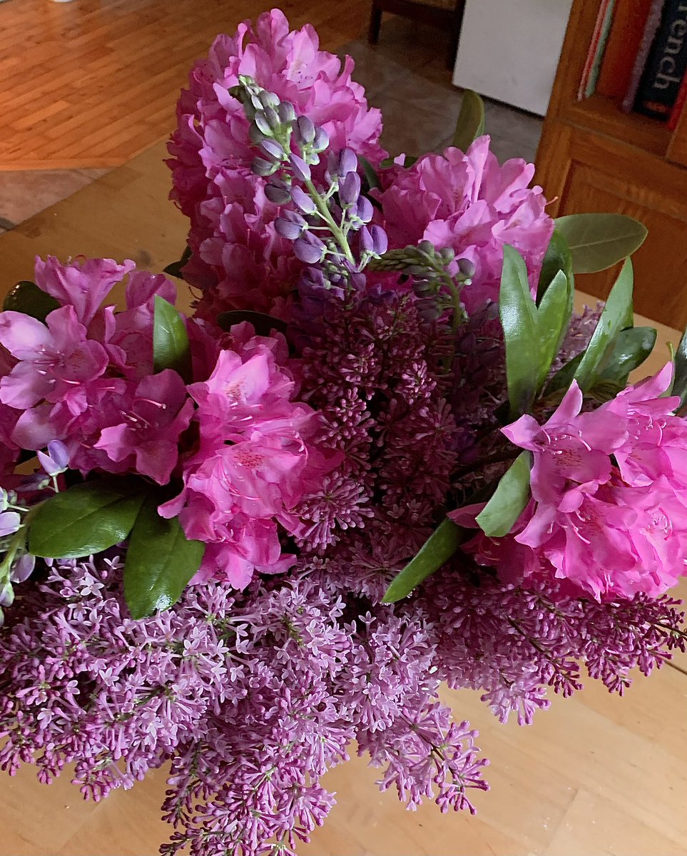 A very sweet haul from my floral garden this afternoon… rescuing them before the heavy rain this evening to grace the vases inside my house.

Rhododendrons, Lilacs, and Lupins. Very pretty in pink. 🌷😊