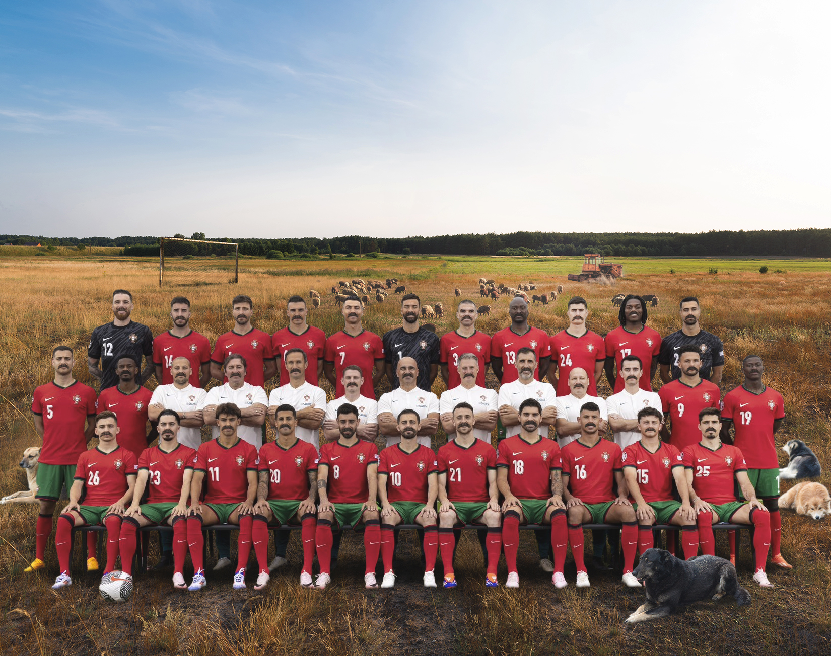 GPuwpL-XMAAU2B-?format=jpg&name=large