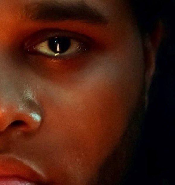 NewsWeeknd's tweet photo. 🧬 https://t.co/QaxhKswgto
