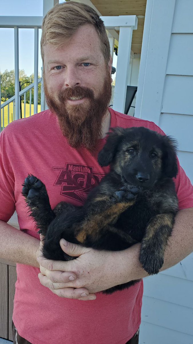 Pups need a home! Who needs a good farm dog? Very well mannered and good with kids