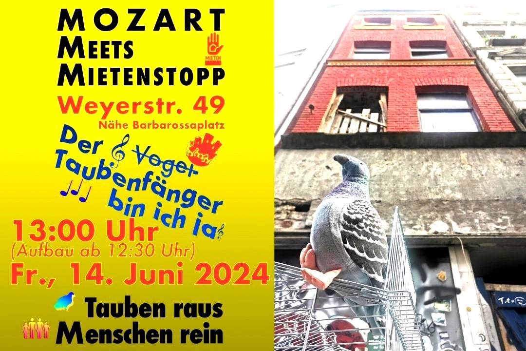 Tauben raus und Menschen rein! 
In bester Kölner Lage nähe Barbarossaplatz steht in der Weyerstraße 49 seit über zehn Jahren ein Haus leer. So ganz leer ist es nicht, den es ist von Tauben bewohnt.
Darum sagen wir:
Tauben raus und Menschen rein!