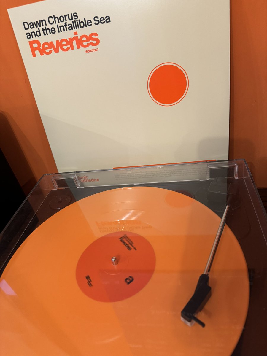 Darrell Mitchell #MDANT tweet media