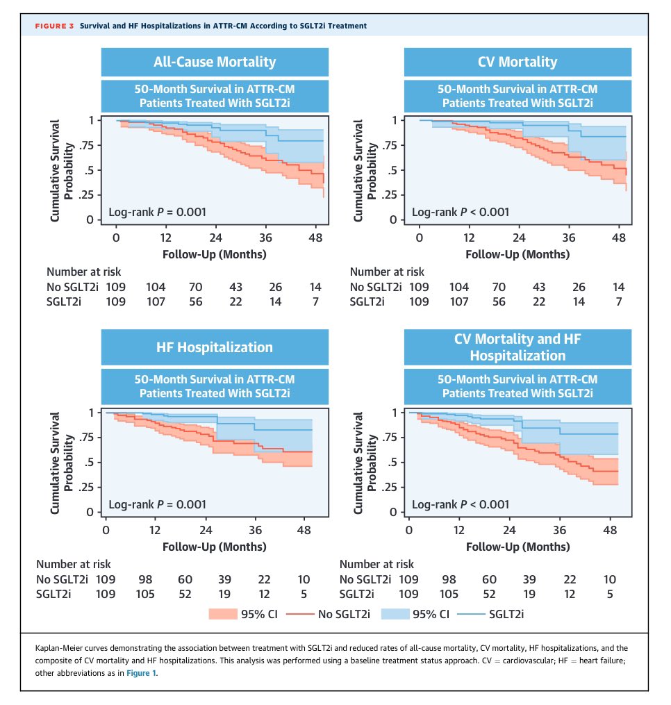 Edgardo Alania (@ed_alania) on Twitter photo 🔴 SGLT2 Inhibitor Therapy in Patients With TTR Amyloid Cardiomyopathy <a href="/JACCJournals/">JACC Journals</a> #CardioEd #Cardiology #FOAMed #Amyloidosis 🔴 SGLT2 Inhibitor Therapy in Patients With TTR Amyloid Cardiomyopathy <a href="/JACCJournals/">JACC Journals</a> #CardioEd #Cardiology #FOAMed #Amyloidosis