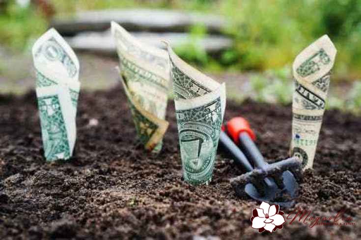 magnoliakeepers's tweet photo. 10. Track Profit and Growth: Bookkeeping shows your businessβ profitability. For example, the income statement (Profit & Loss) is one of the financial statements that is prepared from your bookkeeping. #MagnoliaKeepers #Bookkeeper #VirtualBookkeeper #Finance #Budgeting https://t.co/c2HzawEf5r