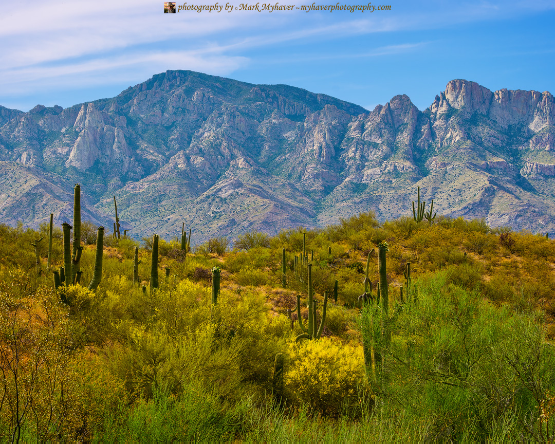 Honey Bee Canyon 25490
Photography by Mark Myhaver 
myhaverphotography.pixels.com/featured/honey… 
#sonorandesert #arizona #orovalley #myhaverphotography