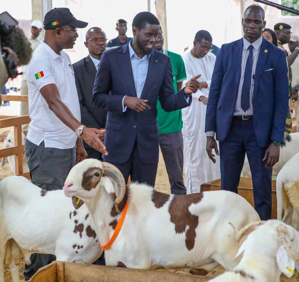 Bassirou Diomaye Faye tweet media