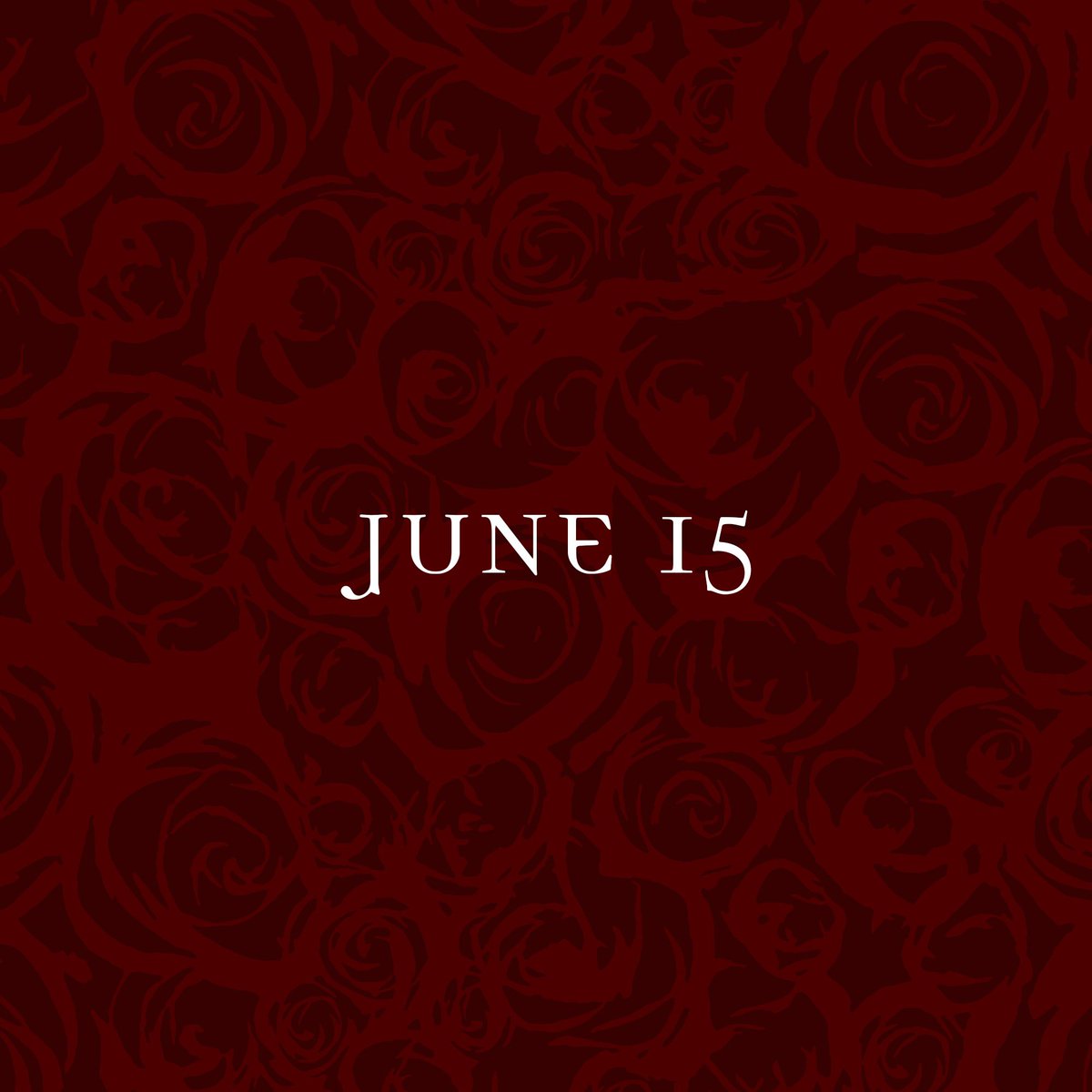 🌹❤️