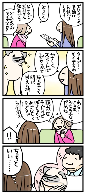 好きなタイプ。
--
「パグと営業課長 byよしこ @menglish222 」 #ヤメコミ #犬 #パグ
▼仕事辞めたい瞬間の4コマ漫画
https://t.co/owxNi1xjaO 