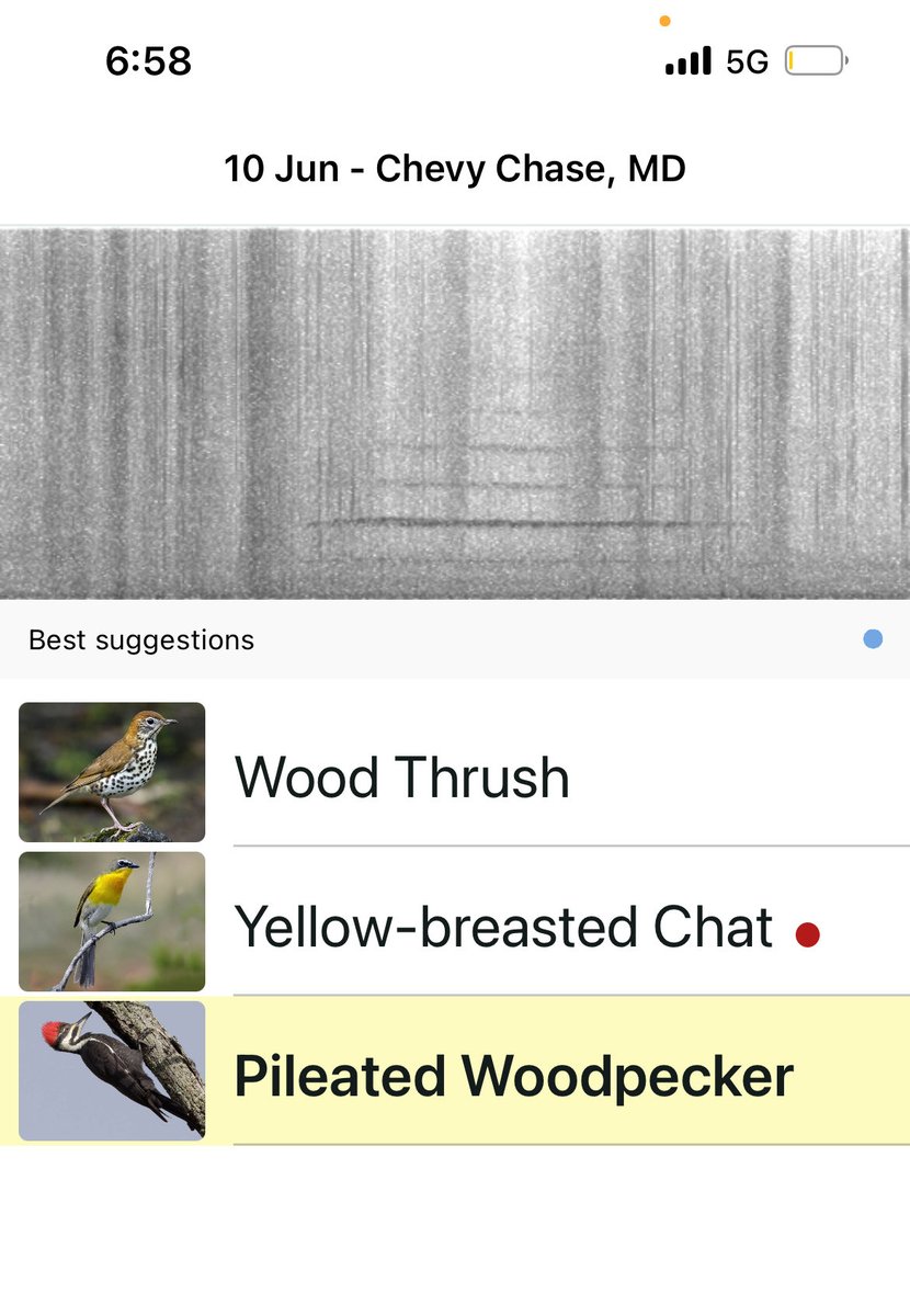 Felice Stadler tweet media