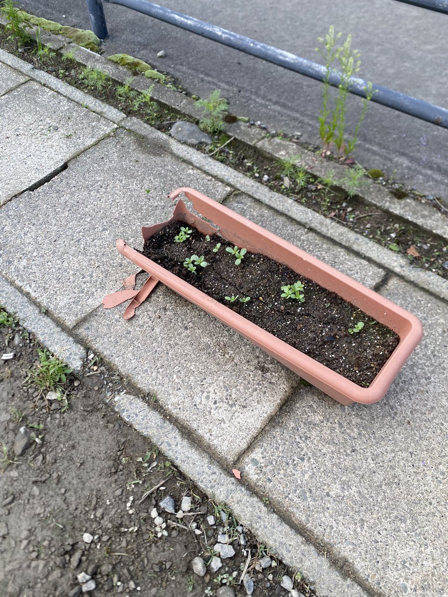 nknk9251's tweet photo. おはようございます
恐らく昨日の営業中以降に
お隣さまのプランター
壊されました
砂利の駐車スペースは
お隣さまのご好意で
駐める事が出来ています。
誤って停めってしまっても
誤って破損させてしまっても
一言声掛けくれれば良いのに
もしお隣さまがもう駐めさせない！
となったらうちはもう
ここで営業していく事が出来ません
せっかくリニューアルしたばかりなのに