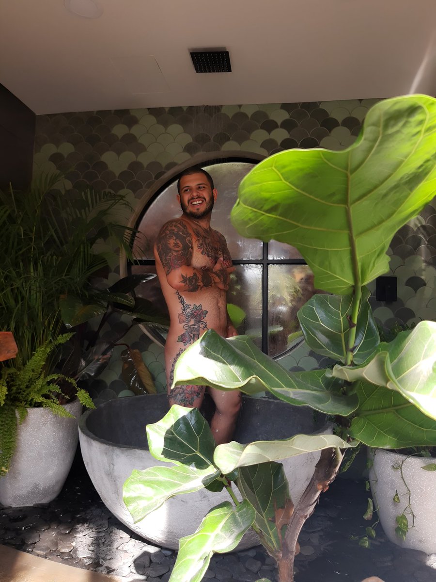 AndreloA's tweet photo. Mi hogar cada vez se convierte en un oasis... https://t.co/FcxvAZKlem