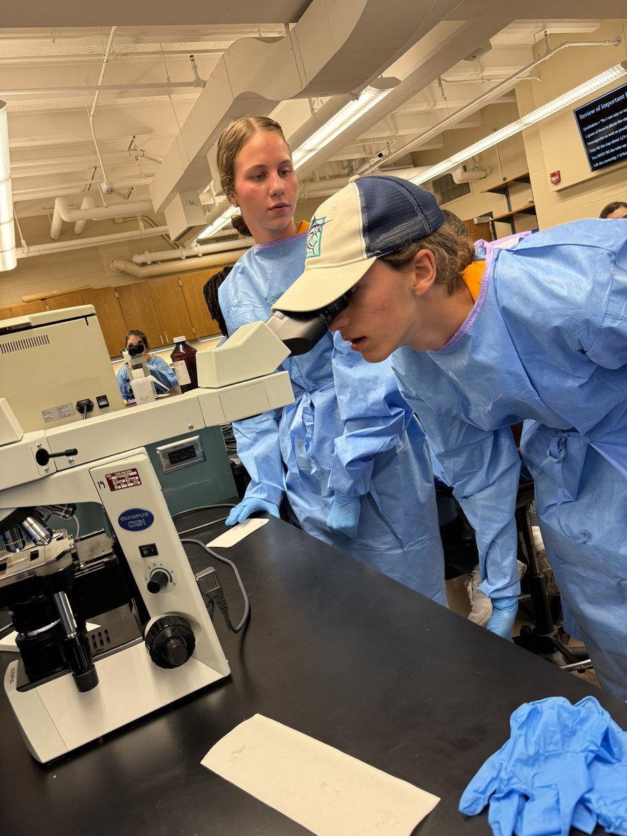 BoilerVetCamp's tweet photo. #TeamCash 💰 successfully found Toxocara cati  (roundworm) eggs in a feline patient! Who knew 💩 could be so much fun?

#lifeatpurdue #boilervetcamp #boilerup #pucvm https://t.co/tcRfPoRQ3b