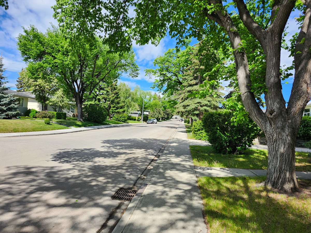 WalkingCalgary's tweet image. Today we walked our first route in #Highwood, covering 2.73 km.  

This will be one of the last communities that we will be walking that was constructed prior to the 1960s.  We are quickly running out of legacy communities to walk.

mapmywalk.com/workout/798385…

#Calgary #yyc