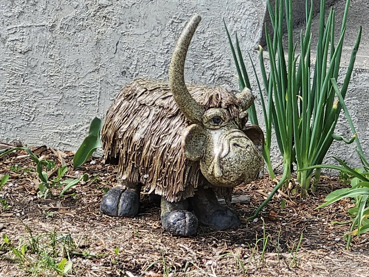 WalkingCalgary's tweet image. Today we walked our first route in #Highwood, covering 2.73 km.  

This will be one of the last communities that we will be walking that was constructed prior to the 1960s.  We are quickly running out of legacy communities to walk.

mapmywalk.com/workout/798385…

#Calgary #yyc