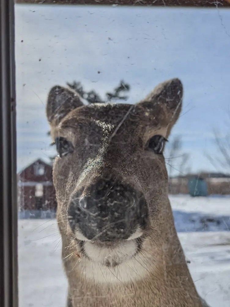 ⠀⠀⠀⠀⠀⠀⠀⠀⠀
⠀⠀⠀⠀⠀⠀⠀⠀⠀
She’s got her eyes on you 👁️👁️
⠀⠀⠀⠀⠀⠀⠀⠀⠀
⠀⠀⠀⠀⠀⠀⠀⠀⠀