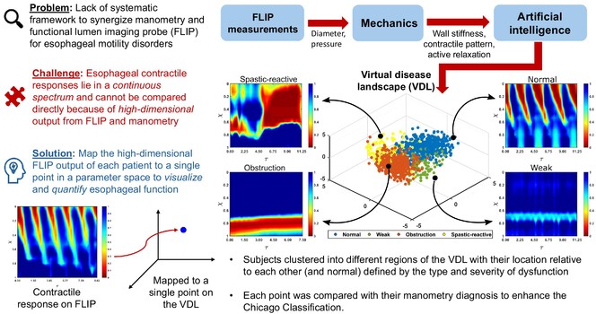 Neurogastro & Motil (@ngmjournal) on Twitter photo 🆕🔥Enhancing #ChicagoClassification diagnoses with #FLIP‐#MECH‼️
✅#Mechanics-based parameters effectively estimated #EsophagealHealth using FLIP measurements to position subjects in a #3D #VirtualDiseaseLandscape🔆
<a href="/NMGastro/">Northwestern Medicine Digestive Health Institute</a>👏
👉onlinelibrary.wiley.com/doi/10.1111/nm…
<a href="/ANMSociety/">ANMS</a> <a href="/esnm_eu/">ESNM.eu</a> #HRM 🆕🔥Enhancing #ChicagoClassification diagnoses with #FLIP‐#MECH‼️
✅#Mechanics-based parameters effectively estimated #EsophagealHealth using FLIP measurements to position subjects in a #3D #VirtualDiseaseLandscape🔆
<a href="/NMGastro/">Northwestern Medicine Digestive Health Institute</a>👏
👉onlinelibrary.wiley.com/doi/10.1111/nm…
<a href="/ANMSociety/">ANMS</a> <a href="/esnm_eu/">ESNM.eu</a> #HRM