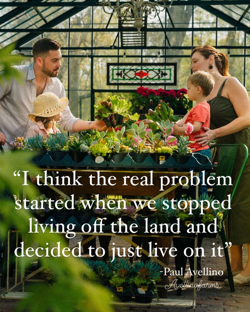 MaximusCampers's tweet image. #industrialisation #therealproblem #livingofftheland #AvellinoFarms