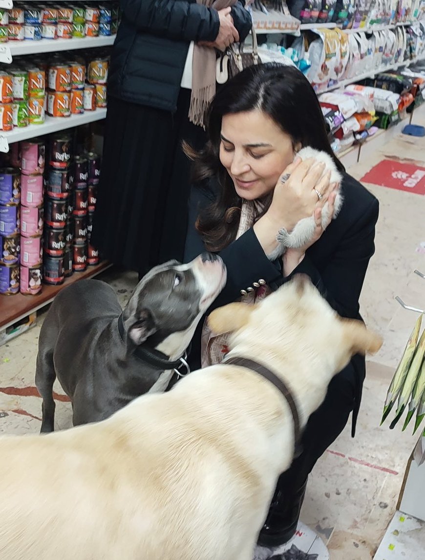 1071dexarIloO8's tweet photo. @pervintuba Ve engelledi müptezel kevâşe. @pervintuba biz senin ciğerini biliyoruz ciğerini. Ankara'da aspavada buluştuğun biri Kırklareli'den iki köpek yemi fabrikası sahibiyle yaptığın belediye ihaleleri kulisini de biliyoruz. AKP'nin açık ara en kötü vekilisin bunu da sen biliyorsun. https://t.co/eX0xPy0AnZ