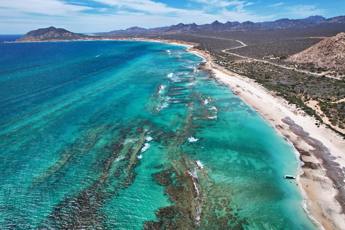 Historia Nueva tweet media