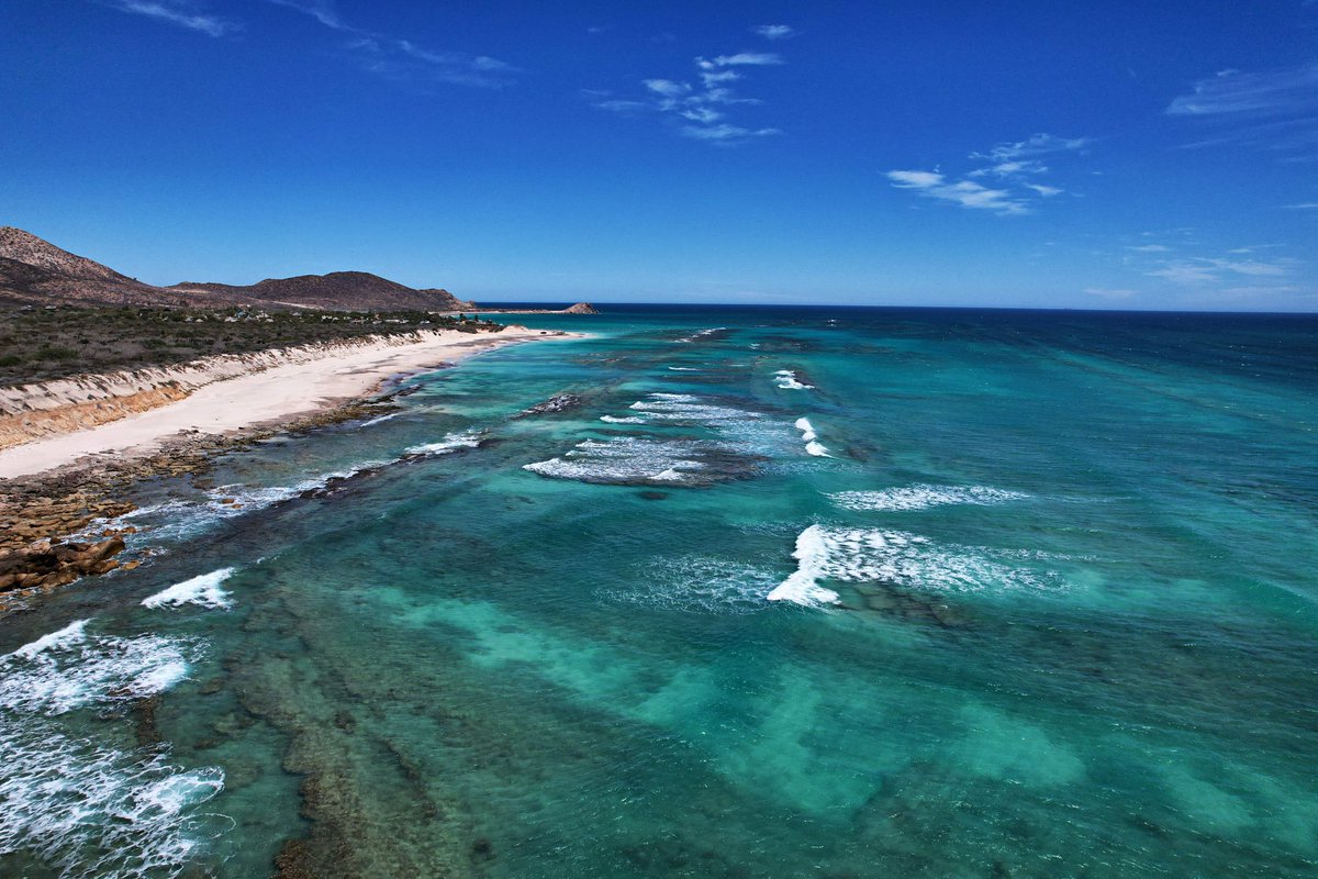 Historia Nueva tweet media