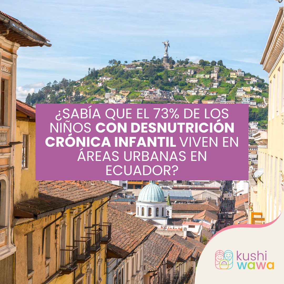 🏙️ En Ecuador, el 73% de los niños con desnutrición crónica infantil (DCI) viven en áreas urbanas. ¿Sabía esto?  📲 #Kushiwawa ayuda a prevenir la Desnutrición Crónica Infantil #DCI mediante una APP de asesoría perzonalizada con Inteligencia Artificial. 
<a href="/EptagonIES/">FUNDACIÓN EPTAGON IES</a> <a href="/berecordero/">Berenice Cordero</a>