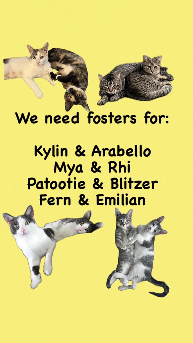 Can anyone foster for us starting asap!!??!